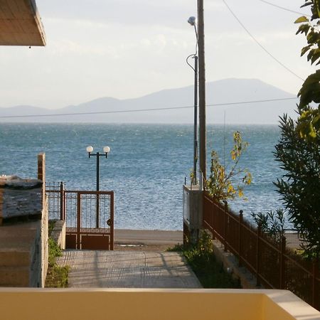 Artemis - Marina Apartments Evia Exterior foto