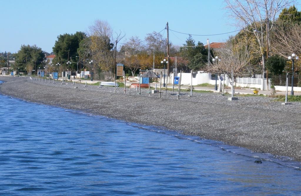 Artemis - Marina Apartments Evia Cameră foto