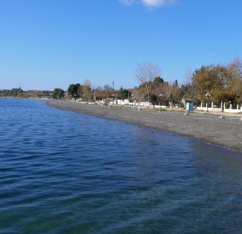 Artemis - Marina Apartments Evia Cameră foto