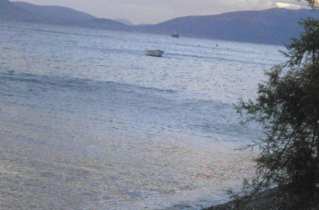 Artemis - Marina Apartments Evia Cameră foto