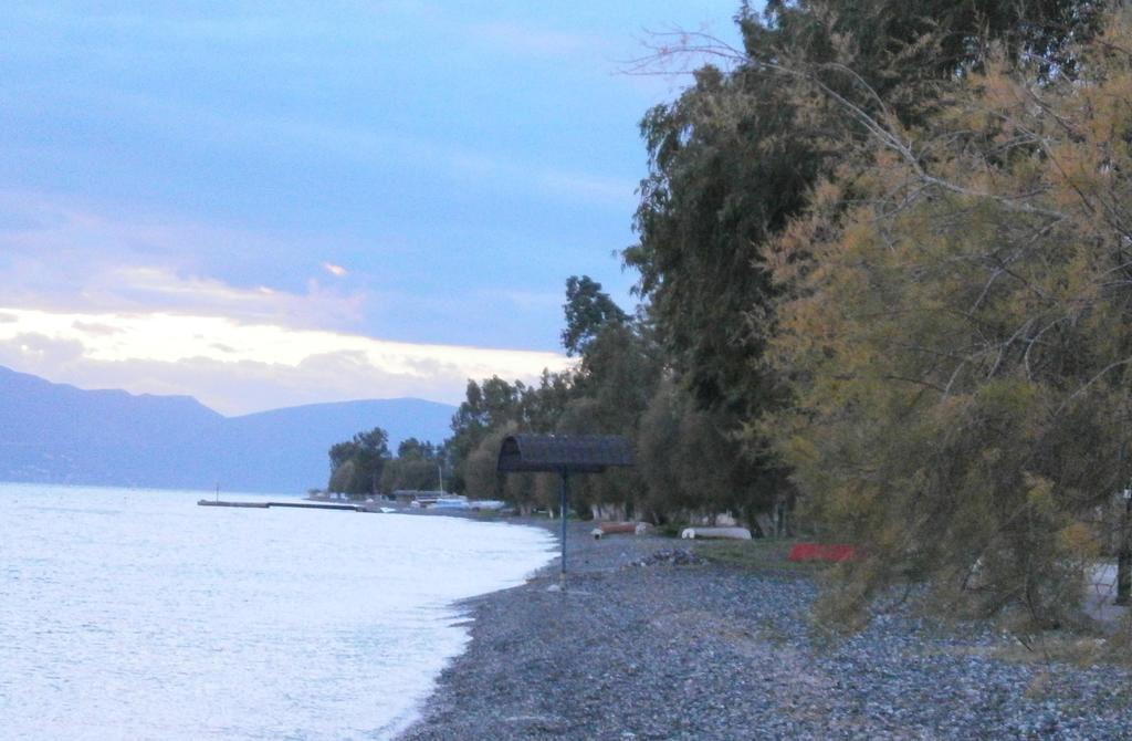 Artemis - Marina Apartments Evia Cameră foto