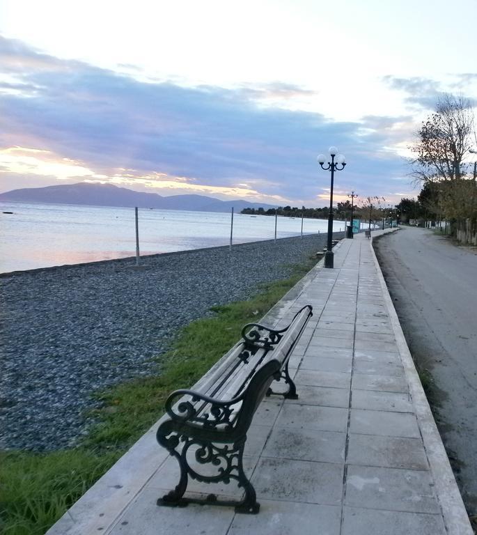 Artemis - Marina Apartments Evia Cameră foto