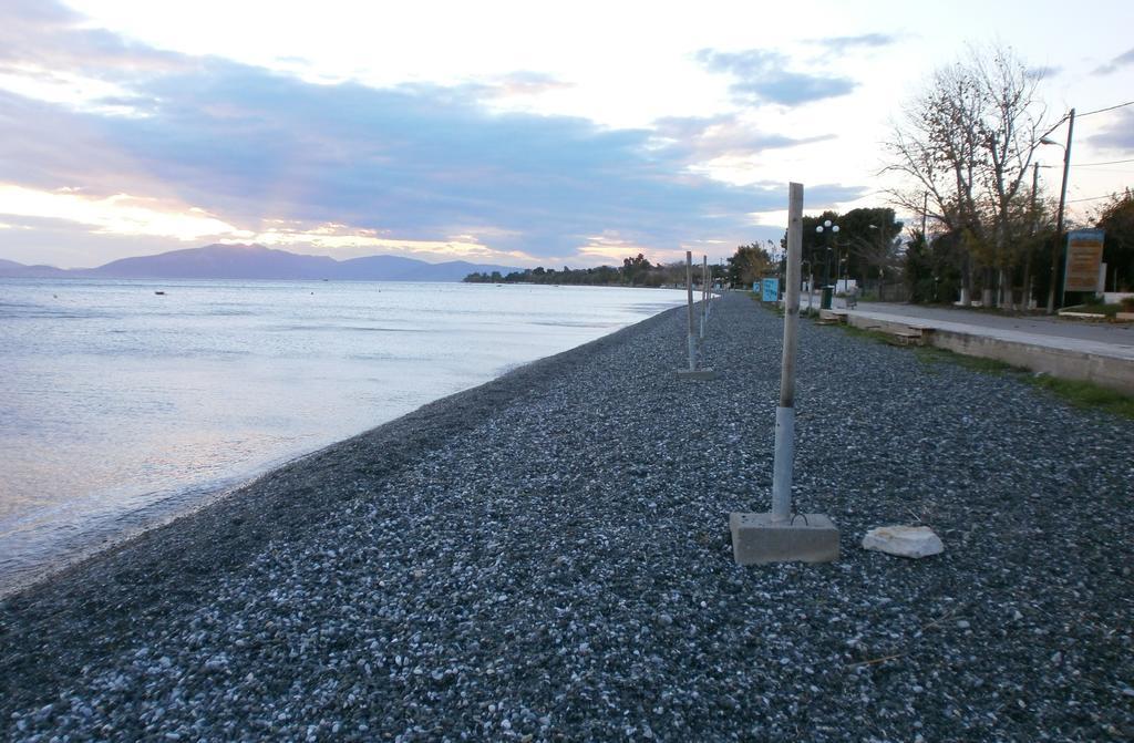Artemis - Marina Apartments Evia Cameră foto