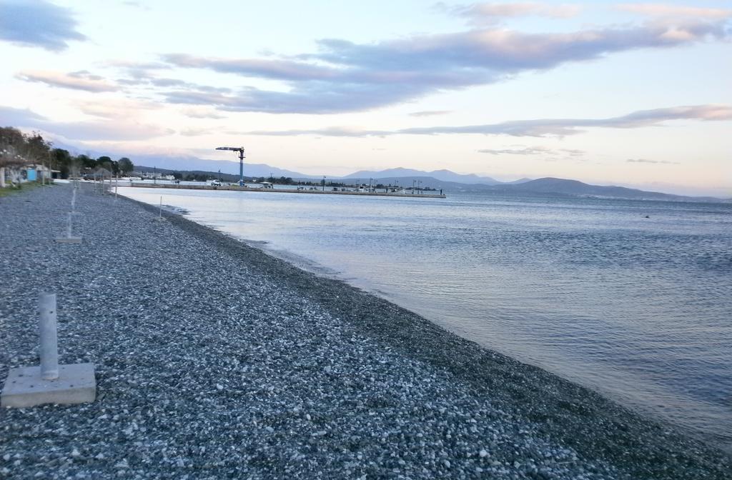 Artemis - Marina Apartments Evia Cameră foto