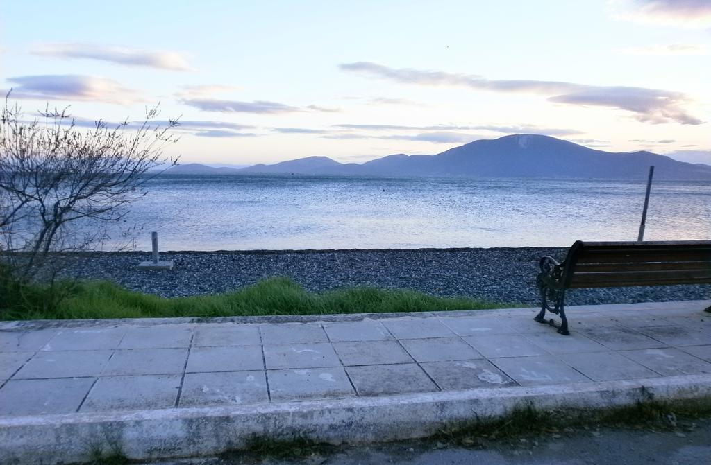 Artemis - Marina Apartments Evia Cameră foto