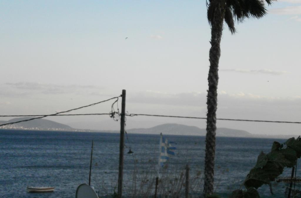 Artemis - Marina Apartments Evia Cameră foto