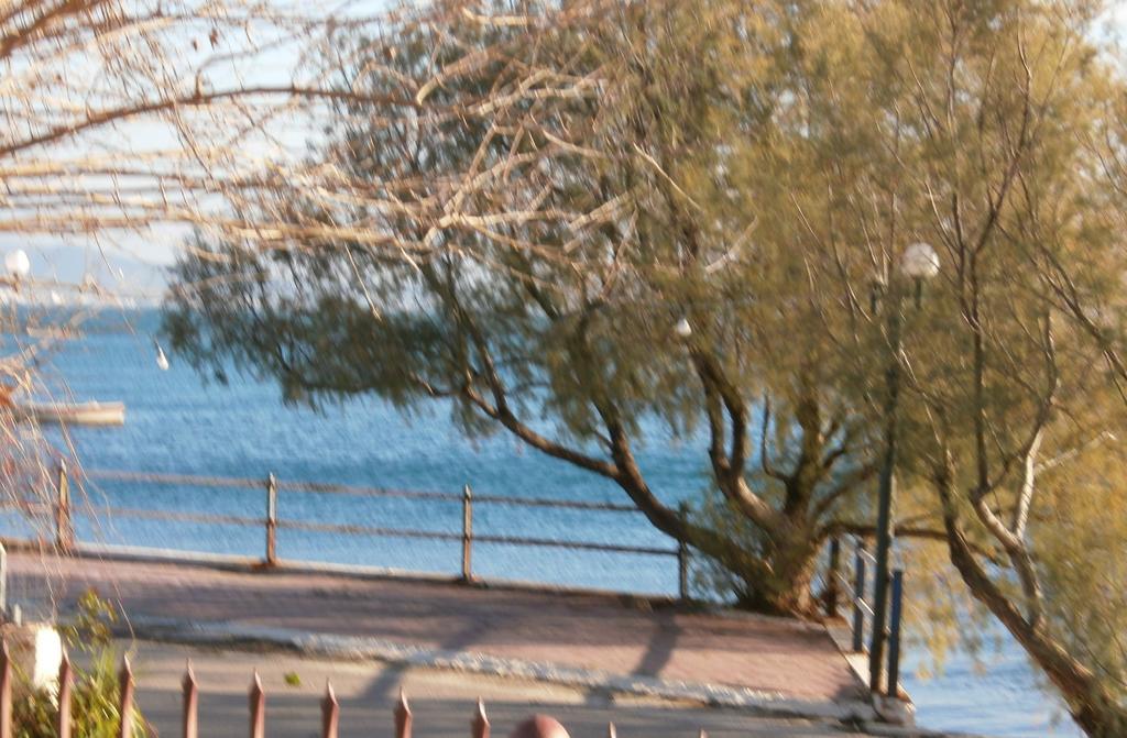 Artemis - Marina Apartments Evia Cameră foto