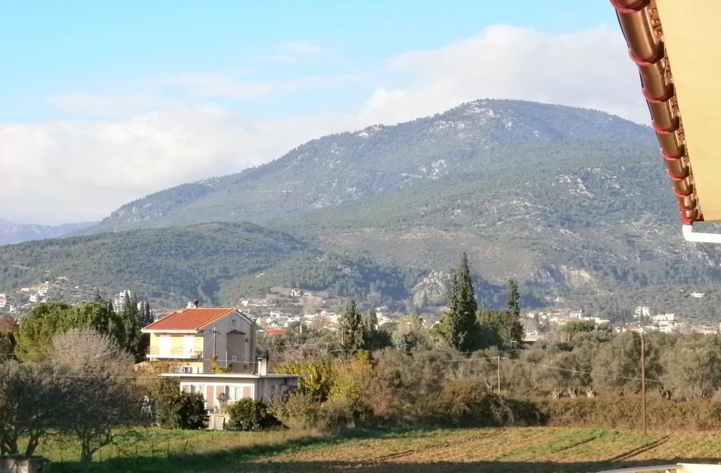 Artemis - Marina Apartments Evia Cameră foto